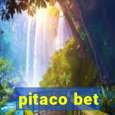 pitaco bet